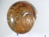  ( - VERFOMOL0104)  @12 [ ] No Rights Reserved (2012) Unspecified Unspecified