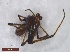  ( - DrumGr4Arach05)  @12 [ ] Unspecified (default): All Rights Reserved  Unspecified Unspecified