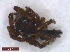  ( - HMGr1Arach03)  @12 [ ] Unspecified (default): All Rights Reserved  Unspecified Unspecified