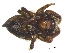  ( - NewGGr2Arach09)  @12 [ ] Unspecified (default): All Rights Reserved  Unspecified Unspecified