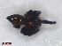  ( - UKZNGr2Arach03)  @12 [ ] Unspecified (default): All Rights Reserved  Unspecified Unspecified