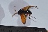  ( - VESPAS30)  @12 [ ] Unspecified (default): All Rights Reserved  Unspecified Unspecified