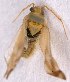  ( - EUBUG_1141_m_Megamoll3)  @12 [ ] Unspecified (default): All Rights Reserved  Unspecified Unspecified