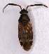  ( - EUBUG_1218_f_Cremalpe7)  @13 [ ] Unspecified (default): All Rights Reserved  Unspecified Unspecified