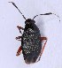  ( - EUBUG_1390_f_Capsater7)  @11 [ ] Unspecified (default): All Rights Reserved  Unspecified Unspecified