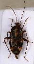  ( - EUBUG_454_f_Lioctrip2)  @14 [ ] Unspecified (default): All Rights Reserved  Unspecified Unspecified