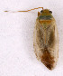 ( - EUBUG_565_m_Euroalpi2)  @12 [ ] Unspecified (default): All Rights Reserved  Unspecified Unspecified