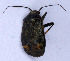  ( - EUBUG_697_f_Polynigr5)  @14 [ ] Unspecified (default): All Rights Reserved  Unspecified Unspecified