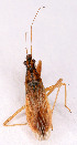  ( - EUBUG_835_f_Nabirugo6)  @13 [ ] Unspecified (default): All Rights Reserved  Unspecified Unspecified