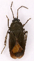  ( - EUBUG_844_m_Apharola1)  @11 [ ] Unspecified (default): All Rights Reserved  Unspecified Unspecified