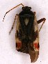  ( - EUBUG_908_m_Polyunif5)  @11 [ ] Unspecified (default): All Rights Reserved  Unspecified Unspecified