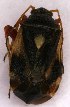  ( - EUBUG_909_f_Polyunif6)  @11 [ ] Unspecified (default): All Rights Reserved  Unspecified Unspecified
