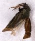  ( - EUBUG_978_m_Chlapull7)  @12 [ ] Unspecified (default): All Rights Reserved  Unspecified Unspecified