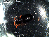  ( - DZMB_Carabidae_0057)  @12 [ ] CreativeCommons - Attribution Share-Alike (2016) Michael Raupach DZMB / Senckenberg am Meer