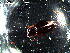  ( - DZMB_Carabidae_0059)  @12 [ ] CreativeCommons - Attribution Share-Alike (2016) Michael Raupach DZMB / Senckenberg am Meer