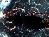  ( - DZMB_Carabidae_0089)  @12 [ ] CreativeCommons - Attribution Share-Alike (2016) Michael Raupach DZMB / Senckenberg am Meer