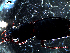  ( - DZMB_Carabidae_0090)  @12 [ ] CreativeCommons - Attribution Share-Alike (2016) Michael Raupach DZMB / Senckenberg am Meer