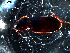  ( - DZMB_Carabidae_0107)  @12 [ ] CreativeCommons - Attribution Share-Alike (2016) Michael Raupach DZMB / Senckenberg am Meer