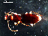  ( - DZMB_Carabidae_0448)  @12 [ ] CreativeCommons - Attribution Non-Commercial Share-Alike (2017) Michael Raupach Carl von Ossietzky University