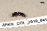  ( - ZFMK_COL_2010_841)  @11 [ ] CreativeCommons - Attribution Non-Commercial Share-Alike (2011) Armin Rose ZFMK