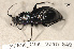  ( - ZFMK_COL_2010_849)  @11 [ ] CreativeCommons - Attribution Non-Commercial Share-Alike (2011) Armin Rose ZFMK