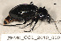  ( - ZFMK_COL_2010_850)  @11 [ ] CreativeCommons - Attribution Non-Commercial Share-Alike (2011) Armin Rose ZFMK