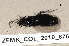  ( - ZFMK_COL_2010_876)  @12 [ ] CreativeCommons - Attribution Non-Commercial Share-Alike (2011) Armin Rose ZFMK