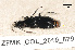  ( - ZFMK_COL_2010_879)  @13 [ ] CreativeCommons - Attribution Non-Commercial Share-Alike (2011) Armin Rose ZFMK