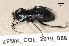  ( - ZFMK_COL_2010_888)  @13 [ ] CreativeCommons - Attribution Non-Commercial Share-Alike (2011) Armin Rose ZFMK