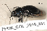  ( - ZFMK_COL_2010_891)  @11 [ ] CreativeCommons - Attribution Non-Commercial Share-Alike (2011) Armin Rose ZFMK