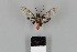  ( - DR14_0298)  @11 [ ] CreativeCommons - Attribution Non-Commercial Share-Alike (2018) Dominik Rabl Dept of Botany and Biodiversity Research
