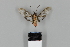  ( - DR14_0298)  @11 [ ] CreativeCommons - Attribution Non-Commercial Share-Alike (2018) Dominik Rabl Dept of Botany and Biodiversity Research