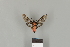  ( - DR14_0301)  @11 [ ] CreativeCommons - Attribution Non-Commercial Share-Alike (2017) Dominik Rabl Dept of Botany and Biodiversity Research