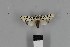  ( - ECU08_002)  @11 [ ] CreativeCommons - Attribution Non-Commercial Share-Alike (2018) Martina Wieser Dept of Botany and Biodiversity Research