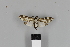  ( - ECU08_002)  @11 [ ] CreativeCommons - Attribution Non-Commercial Share-Alike (2018) Martina Wieser Dept of Botany and Biodiversity Research