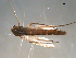  ( - PEPI-01-C03)  @11 [ ] CreativeCommons - Attribution (2010) Gergin Blagoev, Centre for Biodiversity Genomics Centre for Biodiversity Genomics