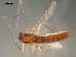  ( - PEPI-01-C04)  @11 [ ] CreativeCommons - Attribution (2010) Gergin Blagoev, Centre for Biodiversity Genomics Centre for Biodiversity Genomics