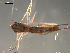  ( - PEPI-01-C07)  @11 [ ] CreativeCommons - Attribution (2010) Gergin Blagoev, Centre for Biodiversity Genomics Centre for Biodiversity Genomics