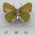  ( - RVcoll.14-N767)  @11 [ ] Copyright (2015) Martin Gascoigne-Pees Unspecified