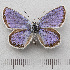  ( - RVcoll.14-U858)  @11 [ ] Copyright (2015) Martin Gascoigne-Pees Unspecified