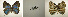  ( - USNM ENT 00181910)  @12 [ ] Unspecified (default): All Rights Reserved  Unspecified Unspecified