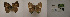  ( - USNM ENT 00181995)  @12 [ ] Unspecified (default): All Rights Reserved  Unspecified Unspecified