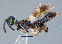 ( - FAFUBCRI_640)  @11 [ ] Unspecified (default): All Rights Reserved  Unspecified Unspecified