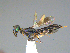  ( - FAFUBCRI_641)  @11 [ ] Unspecified (default): All Rights Reserved  Unspecified Unspecified
