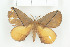  ( - BC-TB8030)  @13 [ ] Copyright (2010) Thierry Bouyer Research Collection of Phillipe Leonard
