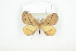  ( - BC-TB8076)  @13 [ ] Copyright (2010) Thierry Bouyer Research Collection of Phillipe Leonard