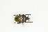  ( - BC-TB9050)  @13 [ ] Copyright (2012) Thierry Bouyer Research Collection of Thierry Bouyer