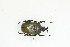  ( - BC-TB9051)  @13 [ ] Copyright (2012) Thierry Bouyer Research Collection of Thierry Bouyer