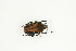  ( - BC-TB9061)  @11 [ ] Copyright (2012) Thierry Bouyer Research Collection of Thierry Bouyer