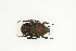  ( - BC-TB9070)  @14 [ ] Copyright (2012) Thierry Bouyer Research Collection of Thierry Bouyer